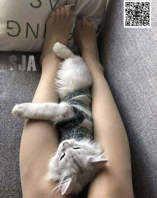 欧美汉子在日本_高清电视剧在线观看